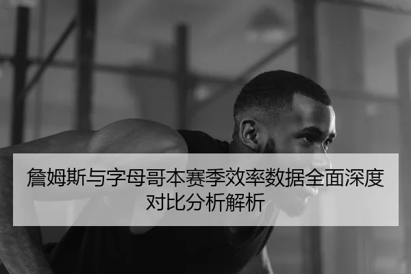 詹姆斯与字母哥本赛季效率数据全面深度对比分析解析 | BIYI SPORTS