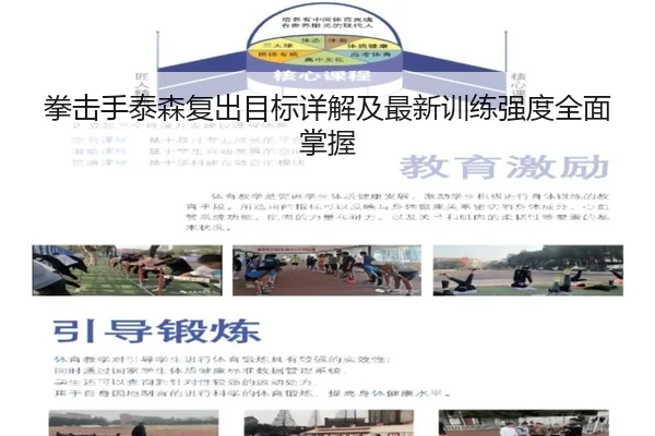 拳击手泰森复出目标详解及最新训练强度全面掌握 | BIYI SPORTS